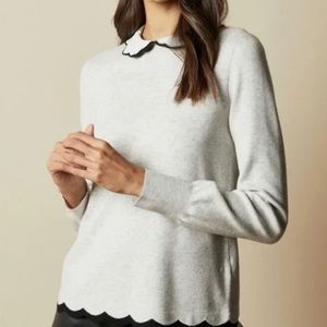 NWT Ted Baker LHEO mockable jumper with scallop hem